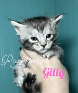 Gilly